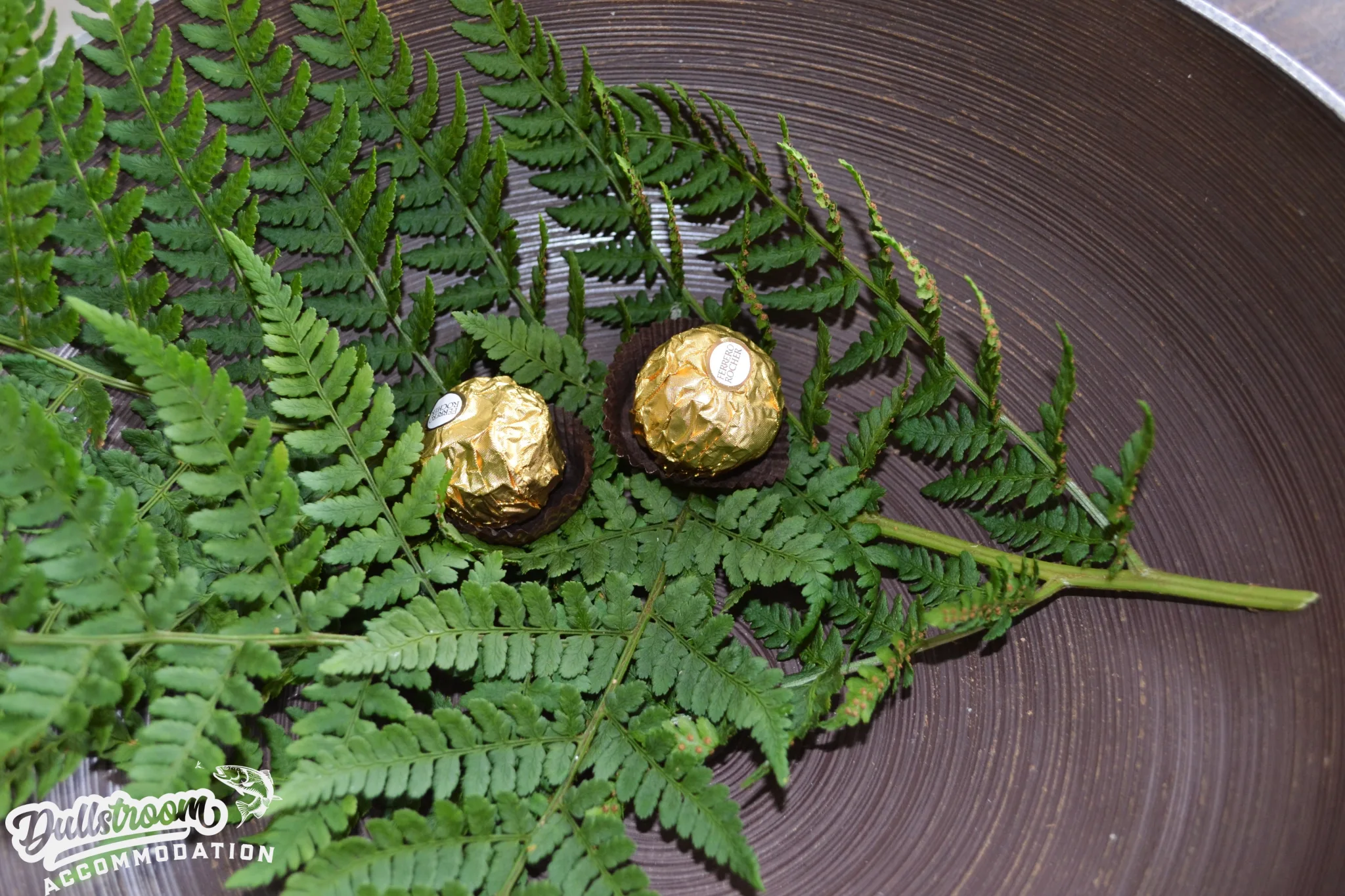 Picsart_23-12-22_21-49-08-312