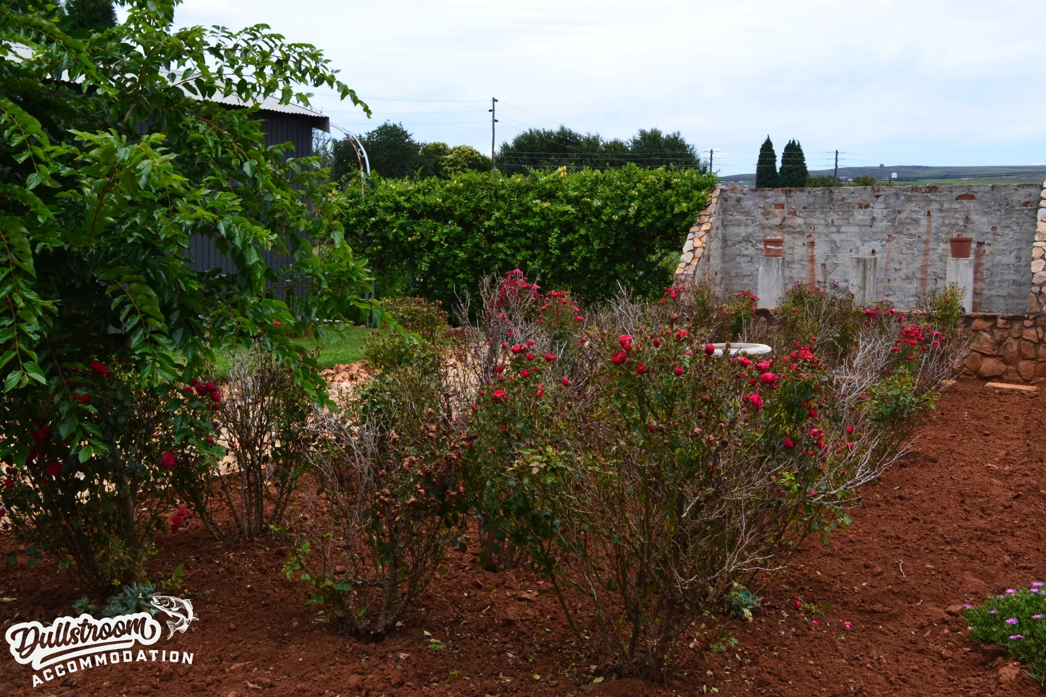 Picsart_23-12-22_22-13-16-510